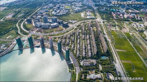 上海閔行區 售樓處電話 地址 開盤 最新價格 最新詳情